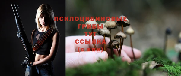 ешки Арсеньев