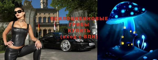 ешки Арсеньев